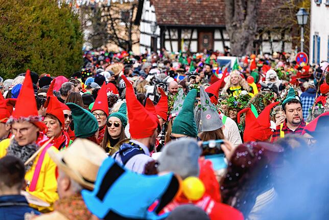 Bild 3: Bilder vom Höriumzug in Bankholzen