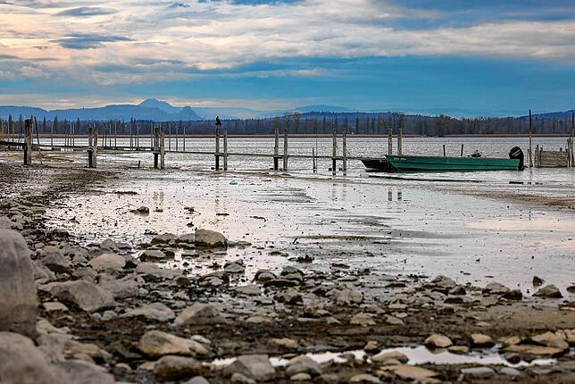 Strandlandschaft im Hafenbecken von Iznang: Fischer Albin Lang kann seine Boote zum Fischen nur noch über den Steg erreichen.