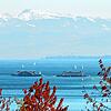 Mit dem Herbst kehrt am Bodensee mehr Ruhe ein, deshalb überdenken die Konstanzer Stadtwerke, die die Fähre Konstanz-Meersburg betreibt, ...