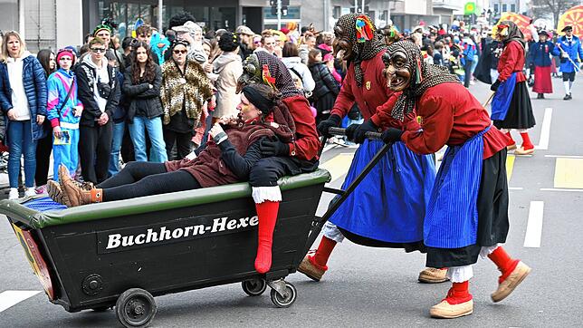 Bild 11: Großer Häfler Narrensprung in der Innenstadt &ndash; Teil 1