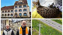 Bilder des Jahres 2024: Viel ist in den vergangenen Monaten passiert, aber können Sie sich noch an alles erinnern? Stellen Sie es beim ...
