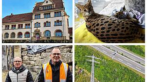 Bilder des Jahres 2024: Viel ist in den vergangenen Monaten passiert, aber können Sie sich noch an alles erinnern? Stellen Sie es beim ...