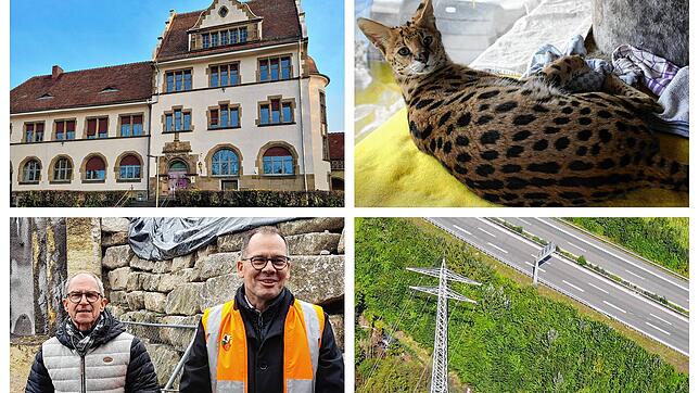 Bilder des Jahres 2024: Viel ist in den vergangenen Monaten passiert, aber können Sie sich noch an alles erinnern? Stellen Sie es beim ...