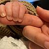 Ein neugeborenes Baby hält die Hand einer Erwachsenen. 2022 kamen 298 Radolfzeller Kinder auf die Welt.