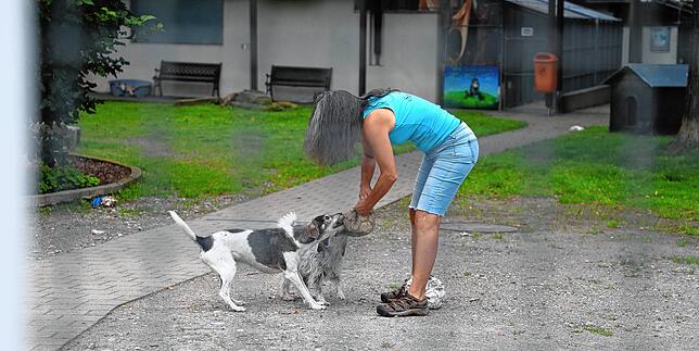 Heidi Schätzle beim Spielen im Innenhof. Ihre Hunde begleiten sie jeden Tag zur Arbeit.