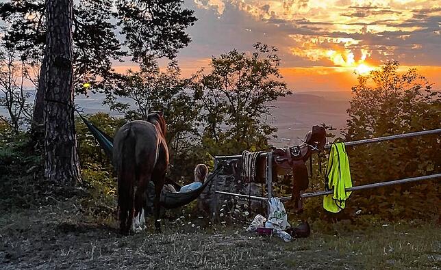 Schöne Momente und die Ruhe in der Natur, das ist es, was die Lehrerin beim Wanderreiten oder Wandern und Radfahren mit ihrem Pferd in ...