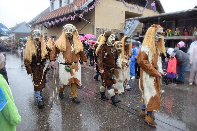 Bild 6: Nöggenschwiel 2025: Fasnacht und bunte Kostüme – Eindrücke vom Schlüchttalnarrentreffen
