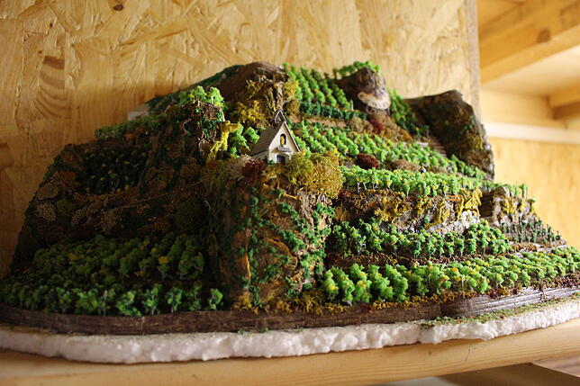 Mit viel Liebe zum Detail: Diesen Miniatuweinberg hat Gebhard Merz selbst gebastelt. Die Weinpflanzen bestehen aus kleinen Nägeln.