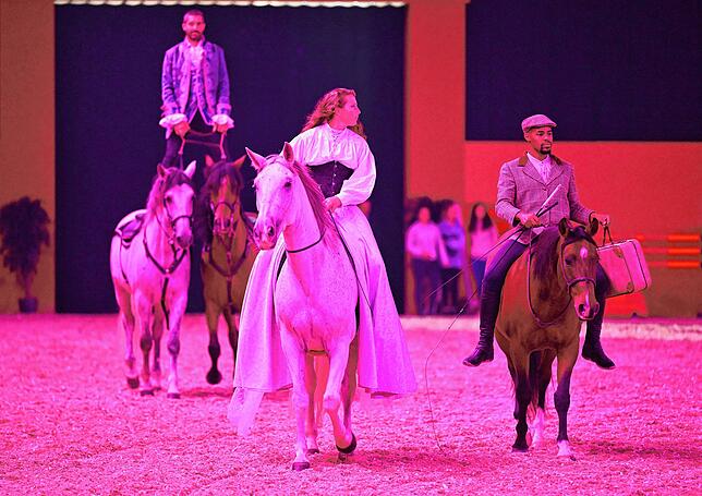 Die Gala „Im Takt der Pferde“ am Freitag- und Samstagabend gehört zu den Höhepunkten der Messe „Pferd Bodensee“ ...