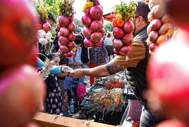 Bild 6: Die schönsten Bilder vom Büllefest in Iznang