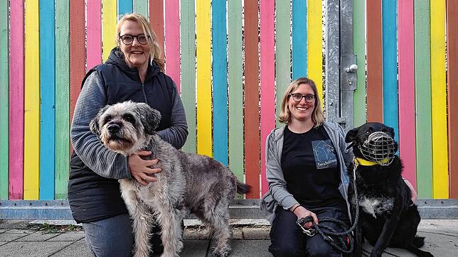 Julia Bierbach (links), Vorsitzende des Tierschutzvereins Radolfzell, und Julia Schuhwerk, Tierheim-Leiterin mit den Hunden Benny ...