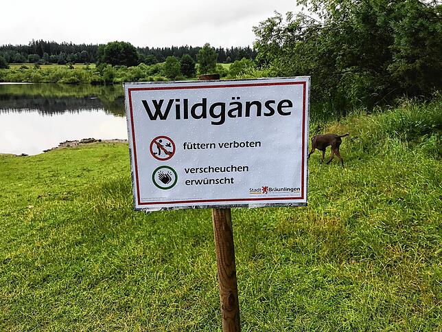 Mit solchen Schildern fordert die Stadt Bräunlingen zum Verjagen der Wildgänse auf.