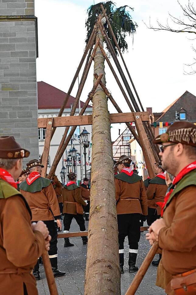 Bild 13: Alle Bilder vom Narrenbaumstellen der Narrizella Ratoldi auf dem Marktplatz