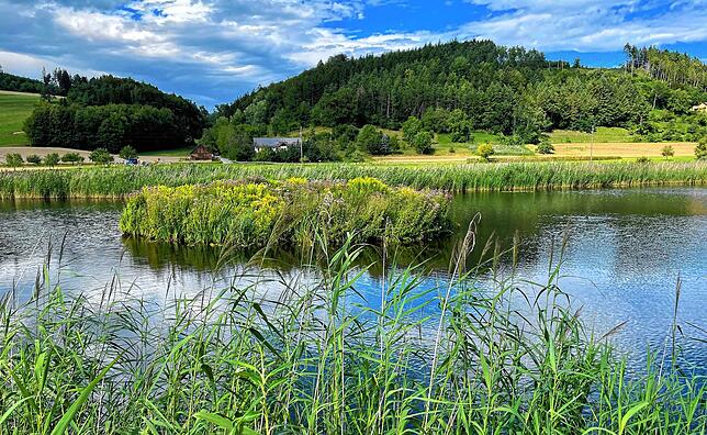 Mit dem Heinz-Sielmann-Weiher in Billafingen startete das Projekt Biotopverbund Bodensee vor rund 20 Jahren. Im Juni 2005 konnte das ...