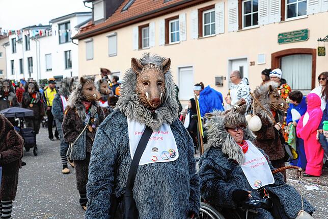Bild 11: So bunt war der große Umzug beim Seenarrentreffen in Allensbach 2024 &ndash; Teil 3