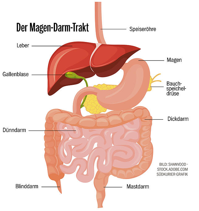 Bild 2: Immer mehr Menschen erkranken an der Darmkrankheit Morbus Crohn &ndash; doch eine Behandlung ist möglich