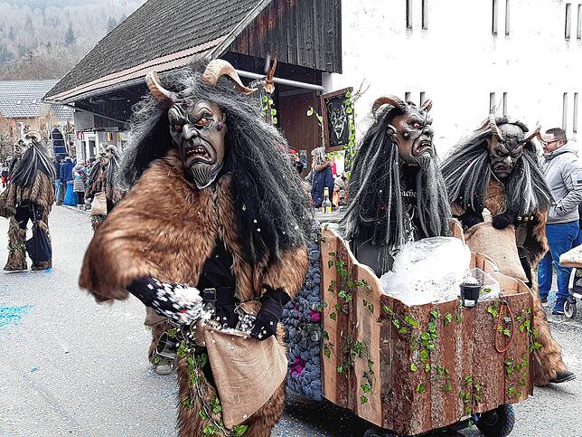 Bild 42: Die schönsten Bilder vom großen Habufa-Umzug in Hasel (1)