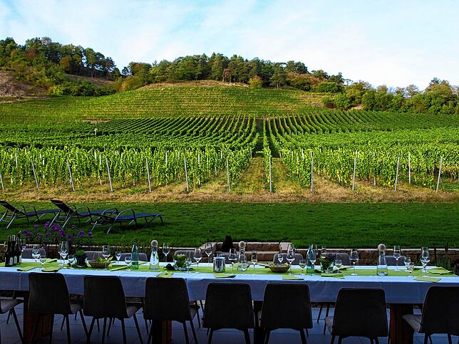 Das Weingut Vollmayer ist die höchste Weinlage Deutschlands und liegt im Naturschutzgebiet Hohentwiel.