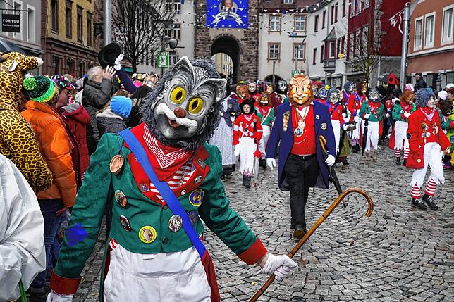Bild 15: Alle Bilder vom großen Umzug in Villingen am Dienstag (2)
