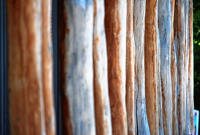 Jeder Holzpfahl hat sein eigenes Aussehen, kein einziger gleicht dem anderen. Aber wo sind sie? Ein Tipp: Es sind nicht die Pfahlbauten!