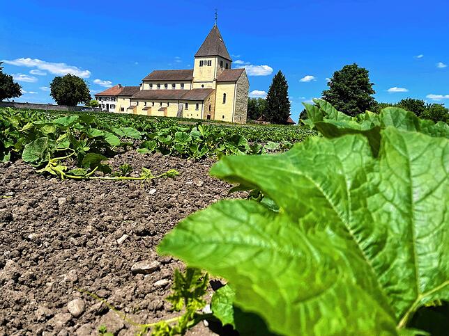 Die Insel Reichenau gehört um Unesco-Weltkulturerbe. Ein Grund dafür sind die drei romanischen Kirchen. St. Georg stammt aus dem 9. ...