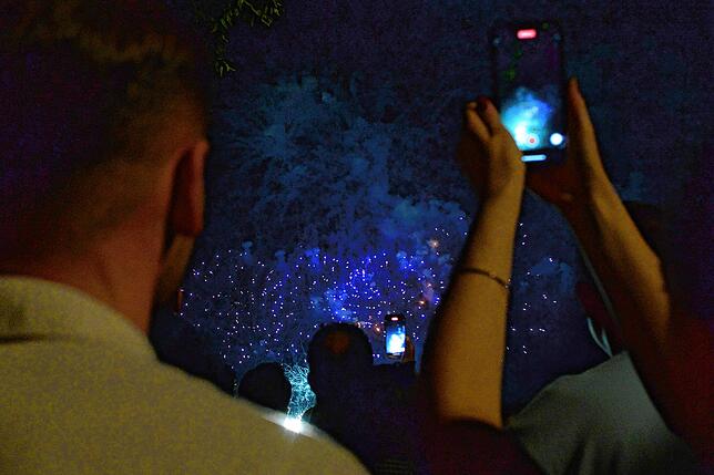 Bild 19: Bilder vom Feuerwerk beim Seehasenfest