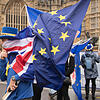 Anti-Brexit-Anhänger demonstrieren in London vor dem Parlament. Im Bereich der IHK Hochrhein-Bodensee von Konstanz bis Weil am Rhein ...