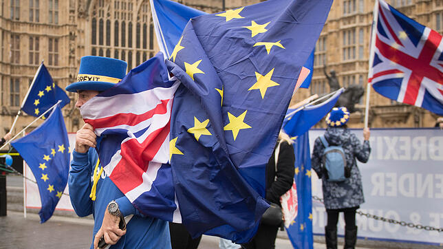 Anti-Brexit-Anhänger demonstrieren in London vor dem Parlament. Im Bereich der IHK Hochrhein-Bodensee von Konstanz bis Weil am Rhein ...