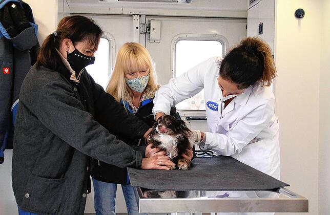 Tierärztin Claudia Gomez (rechts) untersucht einen Mischlingshund. Die Behandlung im Tierarzt-Mobil ist für Bedürftige kostenfrei.