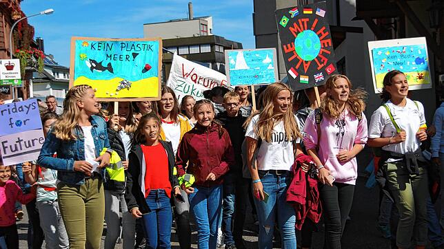 Bisher das klarste Zeichen für mehr Klimaschutz: 2019 sind Schüler auch in St. Georgen für das Thema auf die Straße gegangen. ...