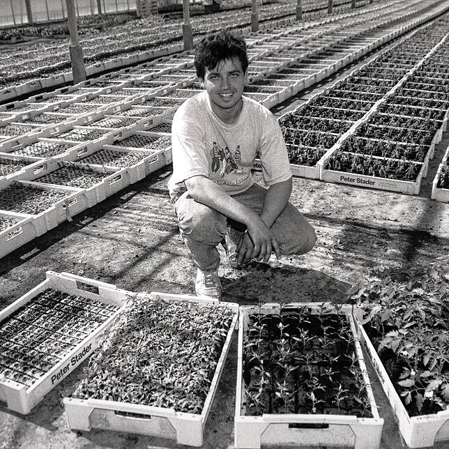 Peter Stader Ende der 1990er-Jahre bei der Arbeit in einem seiner Glashäuser. Schon damals galt er als Pionier in der Produktion von ...