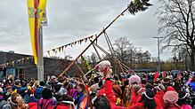 Bild : Der Narrenbaum in Kluftern steht