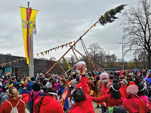 Bild 1: Der Narrenbaum in Kluftern steht