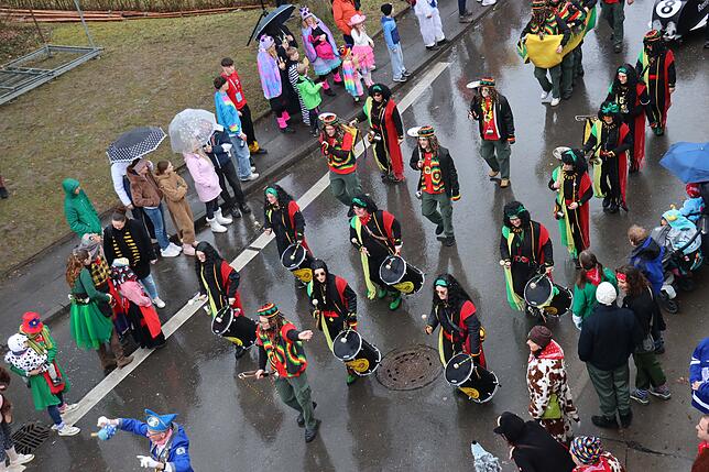 Bild 13: Großer Festumzug in Möggingen: Tausende besuchen das Seenarrentreffen trotz Regen!
