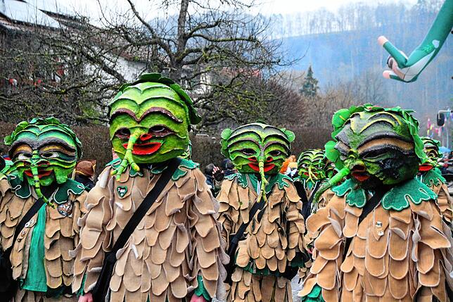 Bild 2: Bilder vom Kleggau-Narrentreffen (Teil 2)