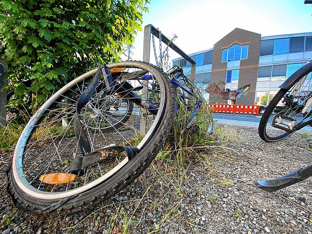 Bild 2: Nur noch ein Skelett ihrer selbst: Was passiert eigentlich mit den Konstanzer Fahrradleichen?