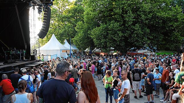Bild 32: Flogging Molly erobert beim Hohentwielfestival die Herzen der Fans im Sturm (Teil II)