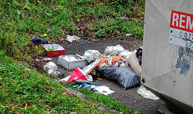 Auch hinter den Containern finden sich großzügig bemessene Mengen an Müll.