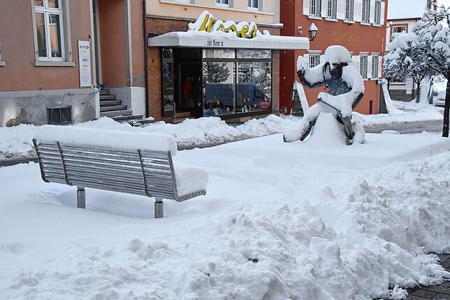 Bild 2: Und noch mehr Schnee! Die weißen Berge türmen sich in Stockach