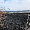 (Archivbild) Am Morgen danach: Im betroffenen Bereich ist deutlich zu erkennen, wo die Flammen am 7. März loderten.