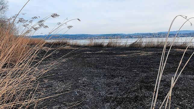 (Archivbild) Am Morgen danach: Im betroffenen Bereich ist deutlich zu erkennen, wo die Flammen am 7. März loderten.