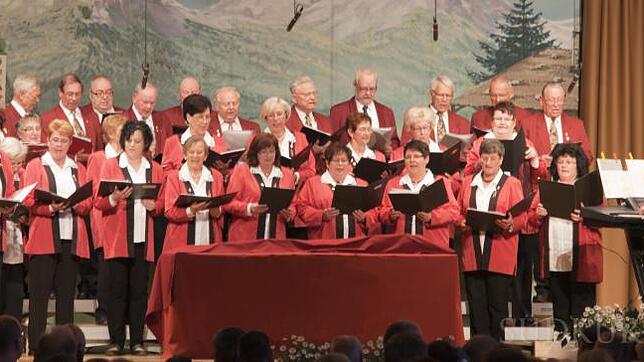 Der Gemischte Chor Vilsingen mit dem musikalischen Leiter Manfred Saalmüller beim Jahreskonzert 2013.