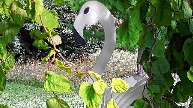 Dieser seltsame Vogel trieb sich im Gebüsch vor der Villa Prym an der Seestraße herum.