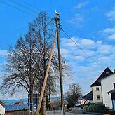 Im März war die Welt in Ittendorf noch in Ordnung, mittlerweile ist das Nest verlassen.