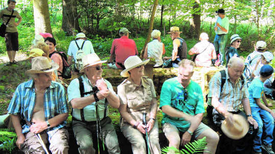 Die Wanderfreunde lauschten im Schatten spendenden Waldstück.