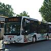Für den städtischen Pendelbus gibt es ab 1. August auch eine Monatskarte. Das Angebot gilt zunächst bis zum Ende der Saison 2019.  Bild: ...
