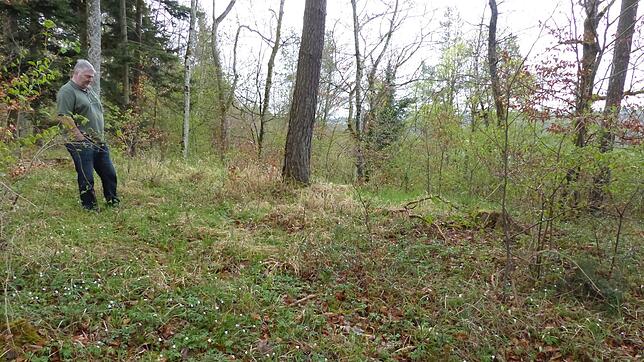 Auf diesem Areal auf Gutensteiner Gemarkung soll ein Trekking Camp für legales Wildcampen entstehen. Im Hintergrund Ortsvorsteher Günter ...