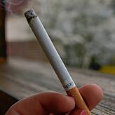 Sie sehen aus, wie normale Zigaretten, haben aber einen eigenen Geschmack. Vor allem aber riechen die Hanfzigaretten ganz anders – ...