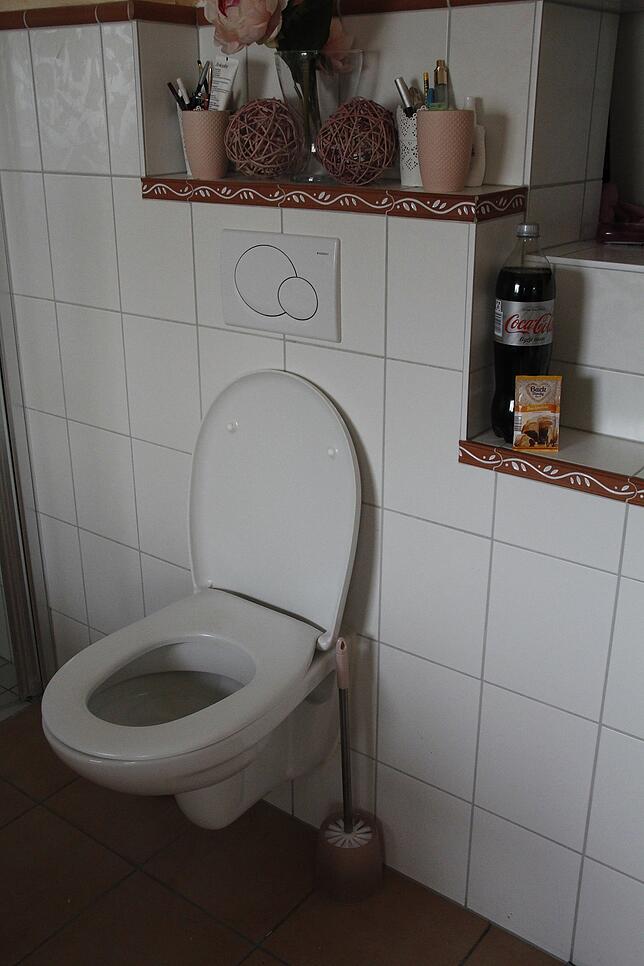 Zur Reinigung der Toilette wird Cola und Backpulver benötigt.