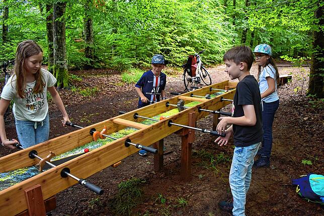 Ein beliebtes Ausflugsziel ist der Kugelwaldpfad in Birkendorf. Spielerisch lässt sich auf dem 2,3 Kilometer langen Rundweg die Heimat ...